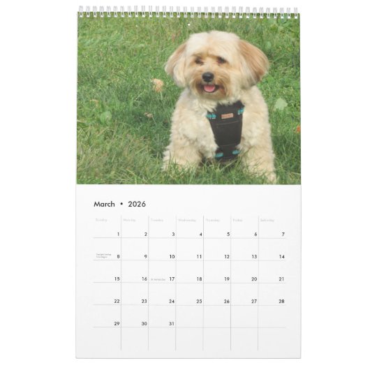 Verkupfern Sie den Havapookie Kalender (Mär 2026)