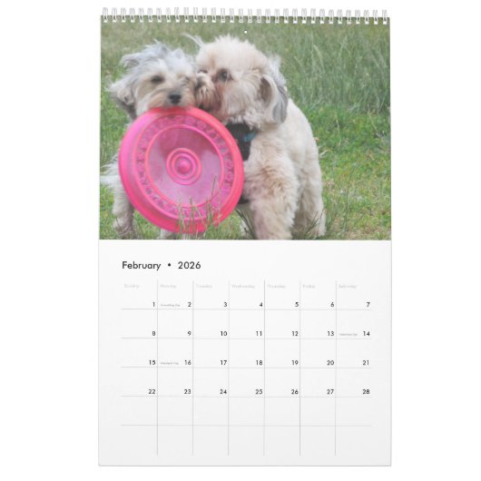 Verkupfern Sie den Havapookie Kalender (Feb 2026)