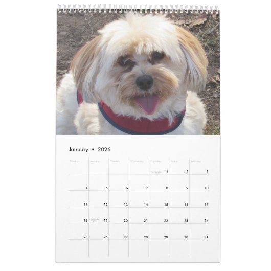 Verkupfern Sie den Havapookie Kalender (Jan 2026)