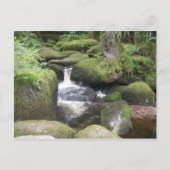 Verlängerung 2009 105 postkarte (Vorderseite)