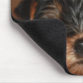 Verlangsamen Sie Wink-Nahaufnahme Mousepad (Ecke)
