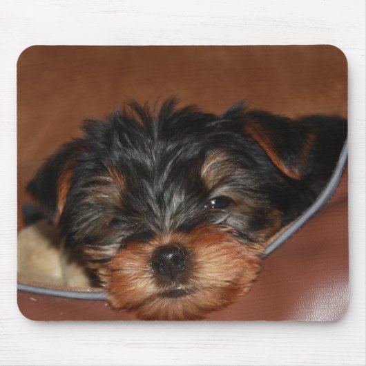 Verlangsamen Sie Wink-Nahaufnahme Mousepad (Vorne)