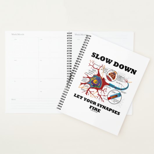 Verlangsamt die Ließ der Synapsen-Feuerneuronensyn Planer (Anzeige)