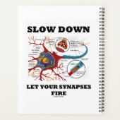 Verlangsamt die Ließ der Synapsen-Feuerneuronensyn Planer (Rückseite)