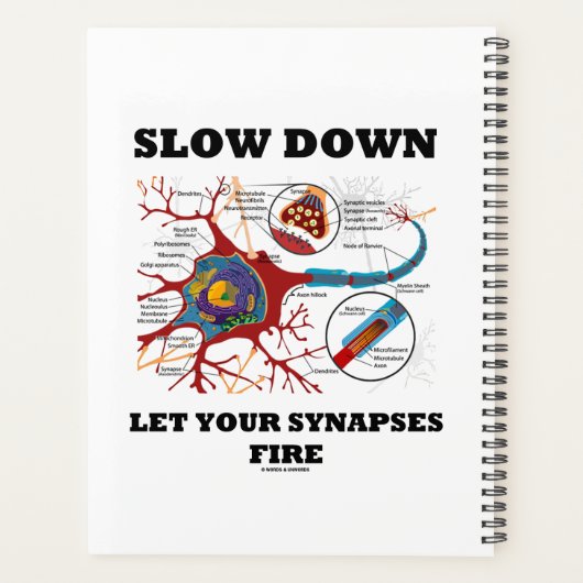 Verlangsamt die Ließ der Synapsen-Feuerneuronensyn Planer (Rückseite)