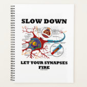 Verlangsamt die Ließ der Synapsen-Feuerneuronensyn Planer (Vorderseite)