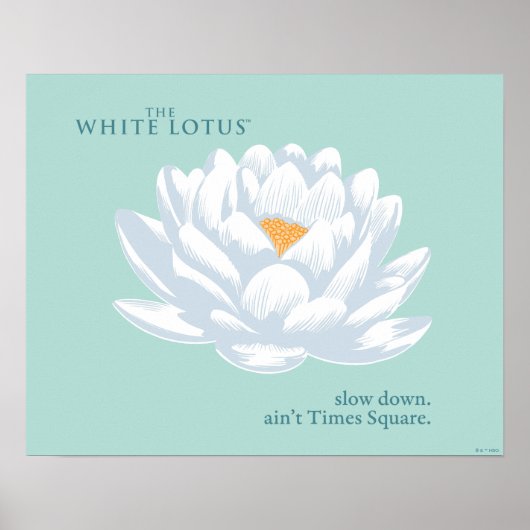 Verlangsamt, nicht zu spät - der weiße Lotus Poster (Vorne)