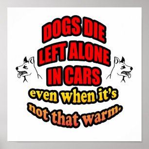 Verlass DEINE HAUSTIERE ALLEIN IN EINEM AUTO Poster