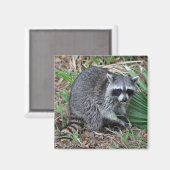 Verlass mir alleine magnet (Vorderseite/Rückseite)