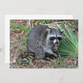 Verlass mir alleine mitteilungskarte (Vorne/Hinten)