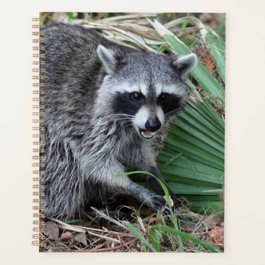 Verlass mir alleine planer (Vorderseite)