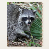 Verlass mir alleine planer (Rückseite)