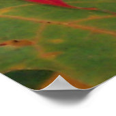 Verlass vor dem Fall Poster (Ecke)