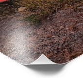 Verlassen hinter fotodruck (Ecke)
