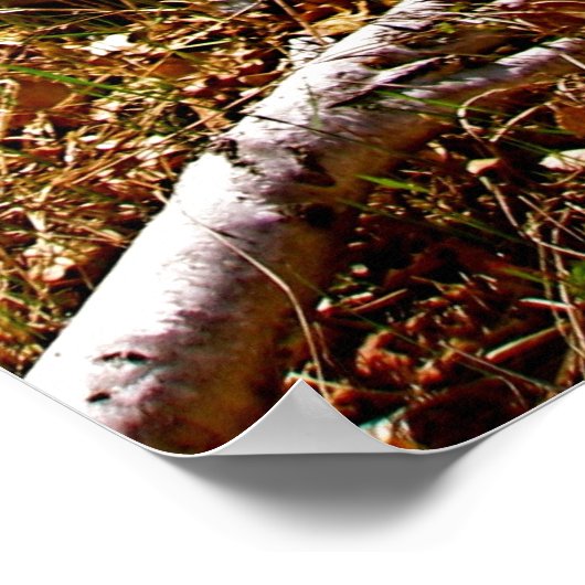 verlassen poster (Ecke)