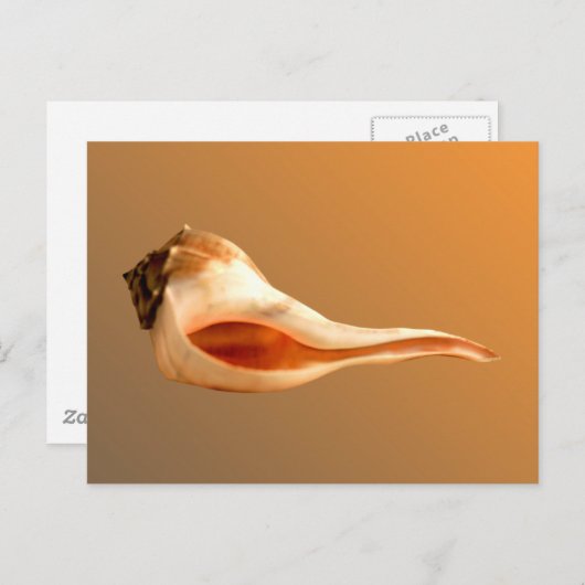 Verlassen Whelk Postkarte (Vorne/Hinten)