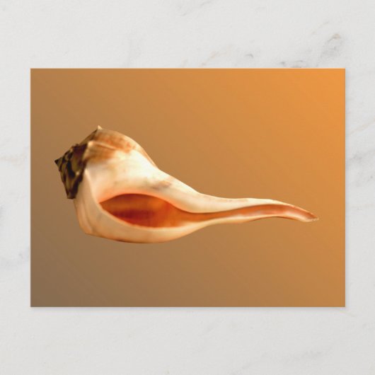 Verlassen Whelk Postkarte (Vorderseite)