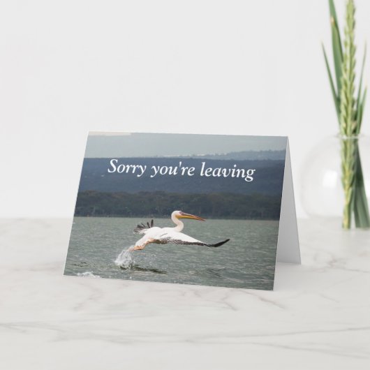 Verlassend Vogelkarte Karte (Vorderseite)