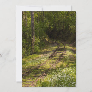 Verlassene Eisenbahn in einem Wald Dankeskarte