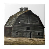 Verlassene Grasland-Scheune Fliese (Vorderseite)