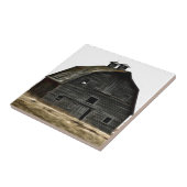 Verlassene Grasland-Scheune Fliese (Seite)