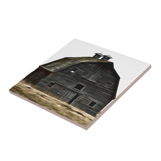 Verlassene Grasland-Scheune Fliese (Seite)