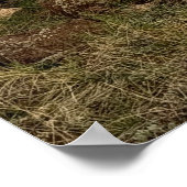 Verlassene Landschaft Poster (Ecke)