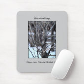 Verlassene Schlüssel, Tschornobyl Mousepad (Mit Mouse)