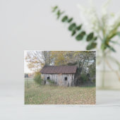 verlassener Hengst Postkarte (Stehend Vorderseite)