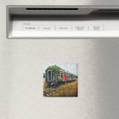 Verlassener, von Efeu und Graffiti überwachsener Z Magnet (In Situ (Geschirrspüler))