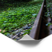 verlassener Wald mit Zuggleisen Poster (Ecke)