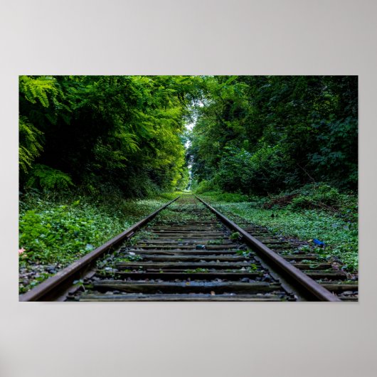 verlassener Wald mit Zuggleisen Poster (Vorne)