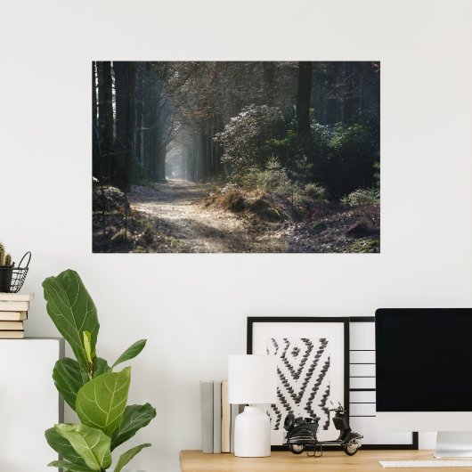 verlassener Weg im Wald Poster (Heimbüro)