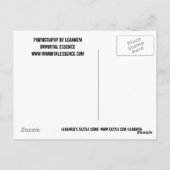 Verlassenes Zuhause Postkarte (Rückseite)