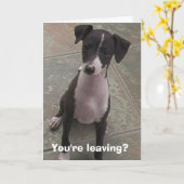 Verlasst du? karte (Gelbe Blume)