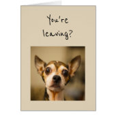 Verlasst du? Nein! Fun Chihuahua Dog (Vorne)