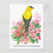 Verlegung der Ankündigung Washington Goldfinch Blu Postkarte (Vorderseite)
