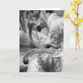 Verleitende Lilie Karte (Gelbe Blume)