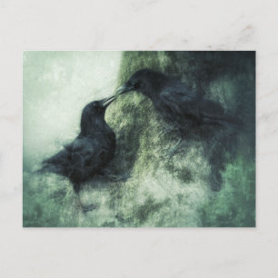 Verliebte Krähen Raben Vögel  Postkarte