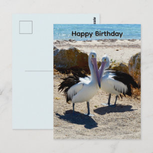 Verliebte Pelikane, Geburtstagspostkarte Postkarte