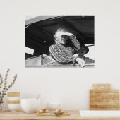 Verlieren Sie nicht den Pflücken - Poster (Küche)