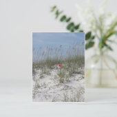Verliert in den Dünen Postkarte (Stehend Vorderseite)