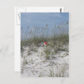Verliert in den Dünen Postkarte (Vorne/Hinten)