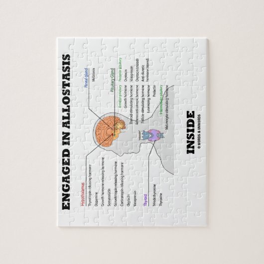 Verlobt in Allostasis Innere (endokrine Hormone) Puzzle (Vertikal)