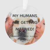 Verlobung Ankündigung des Foto Hundeschlitten Ornament (Vorderseite)