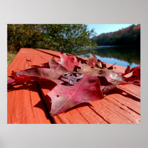 Verlobung auf Herbstleaf Poster