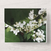 Verlobung Einladung Party White Hydrangea (Rückseite)