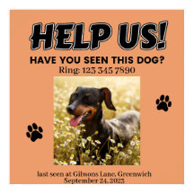 VERLOREN DOG POSTER. HELFEN SIE UNS! Details Poste