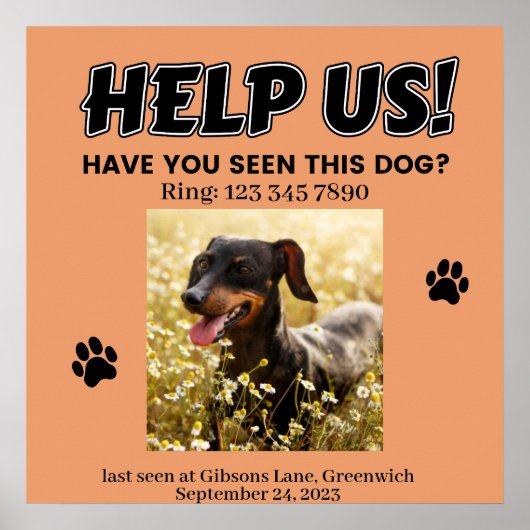 VERLOREN DOG POSTER. HELFEN SIE UNS! Details Poste Poster (Vorne)