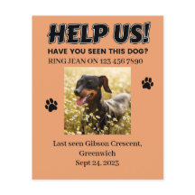 VERLOREN HUNDE FLYER. HELFEN SIE UNS! Ausführliche
